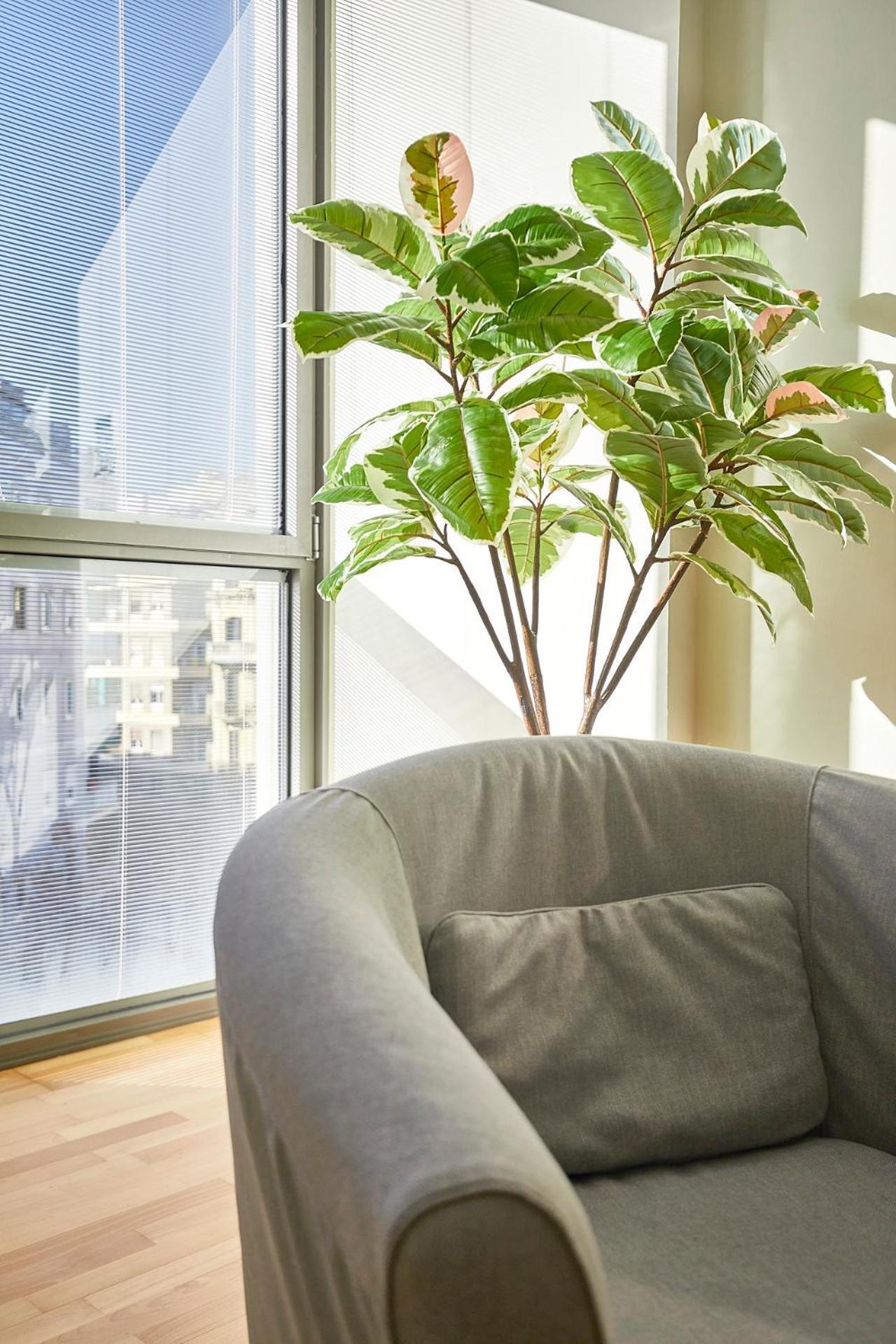 Bbarcelona Placa Universitat Flat المظهر الخارجي الصورة